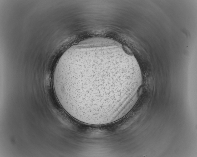 X0000114430597200911061644