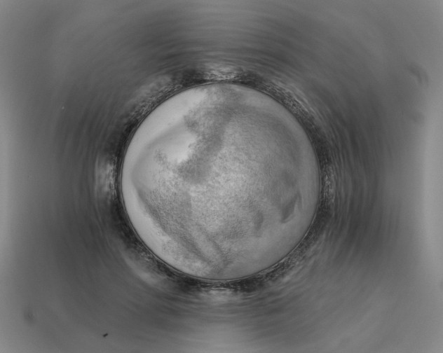 X0000114430598200911061644