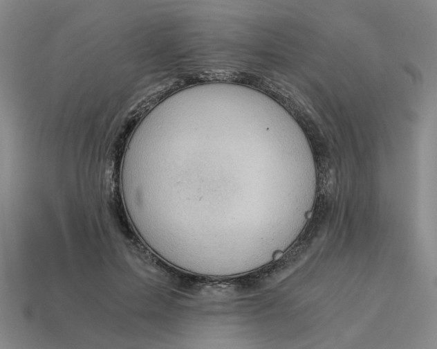 X0000114430599200911061644