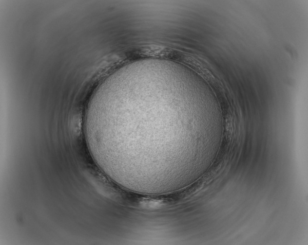 X0000114430602200911061644