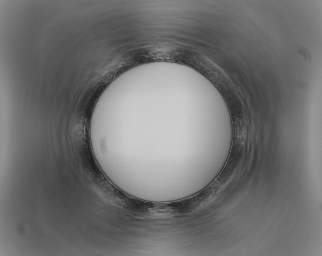 X0000114430603200911061644