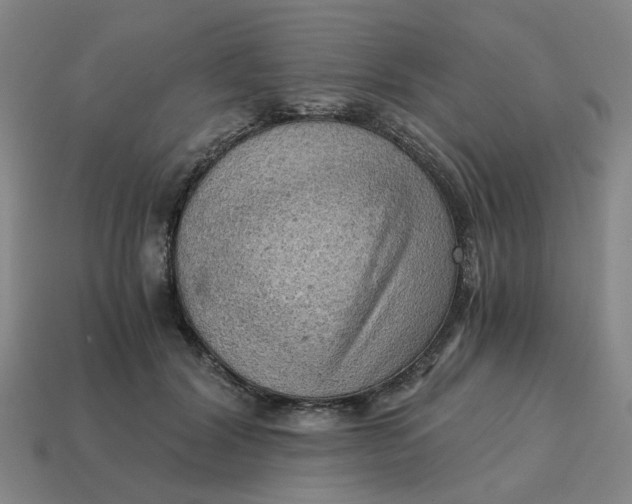 X0000114430604200911061644