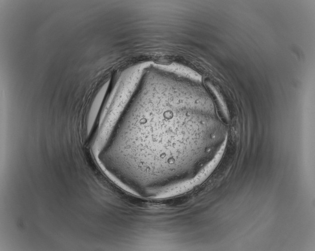X0000114430605200911061644