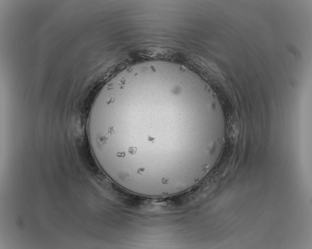 X0000114430607200911061644