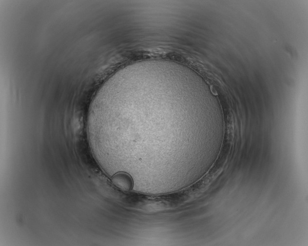 X0000114430608200911061644