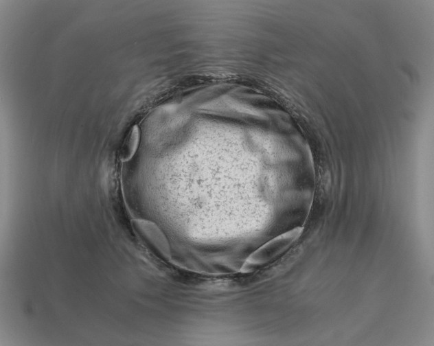 X0000114430609200911061644