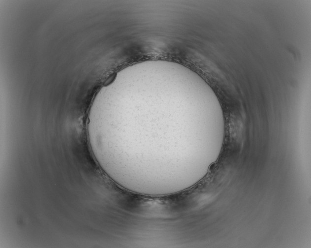 X0000114430611200911061644