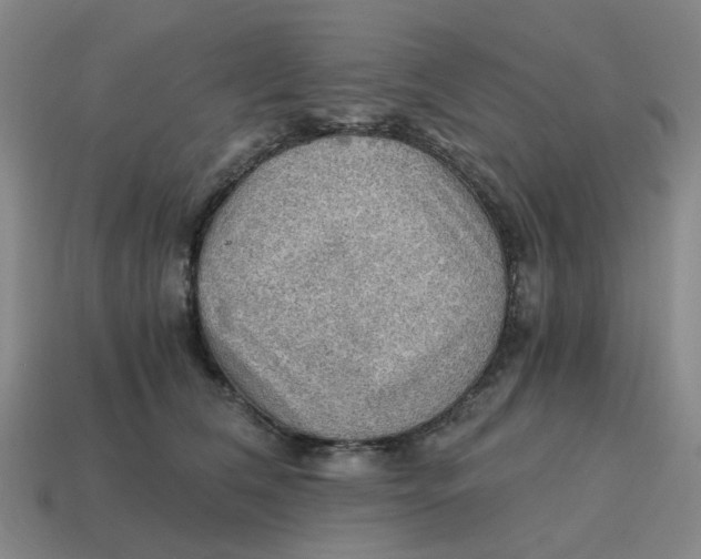 X0000114430612200911061644