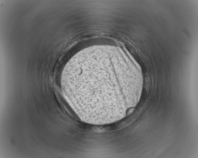 X0000114430613200911061644
