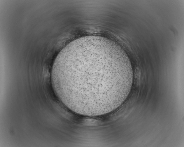 X0000114430614200911061644