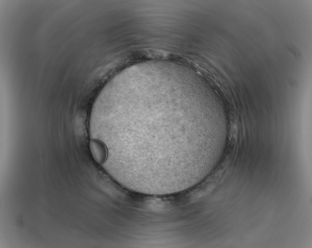X0000114430616200911061644