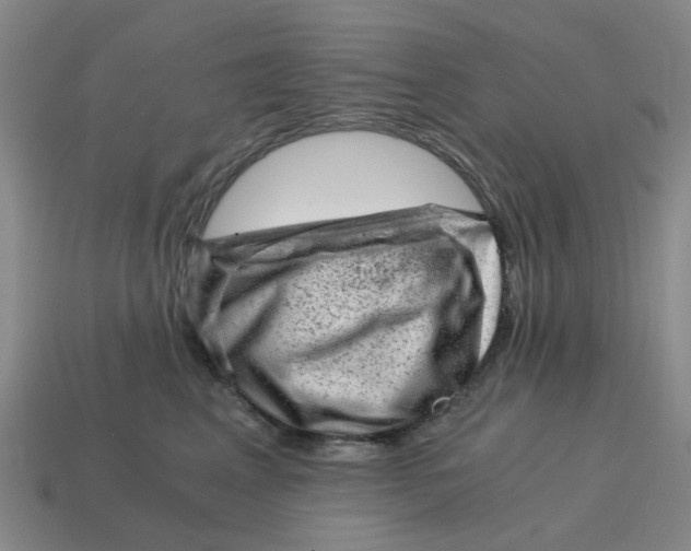 X0000114430617200911061644