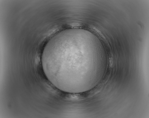X0000114430618200911061644