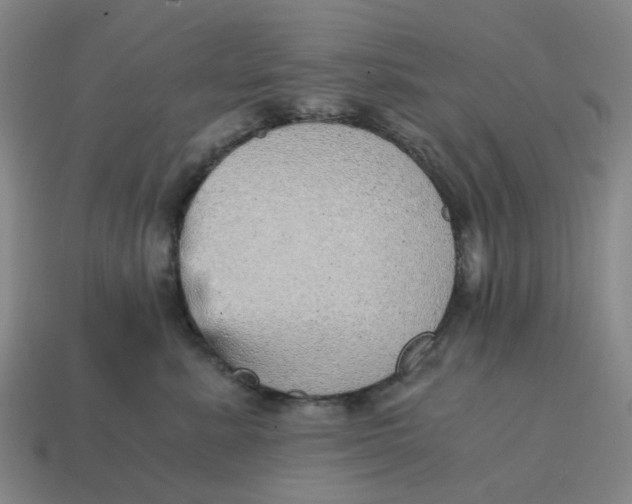 X0000114430619200911061644