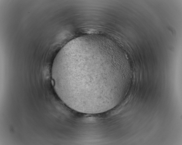 X0000114430620200911061644