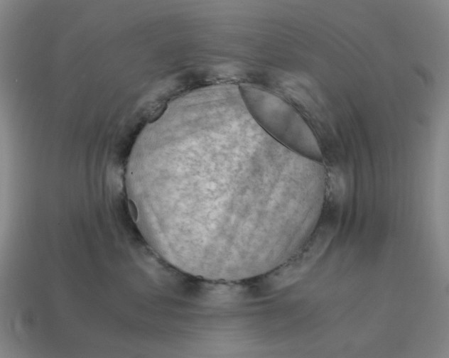 X0000114430621200911061644