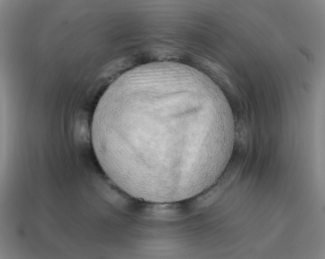X0000114430622200911061644