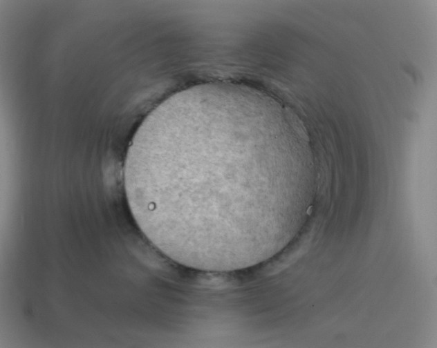 X0000114430624200911061644