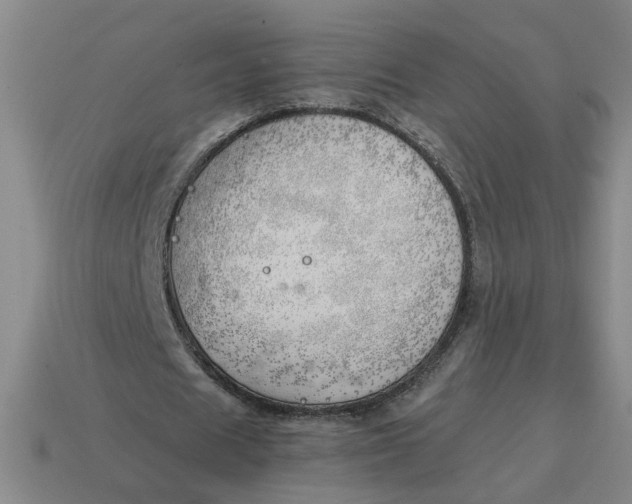 X0000114430625200911061643