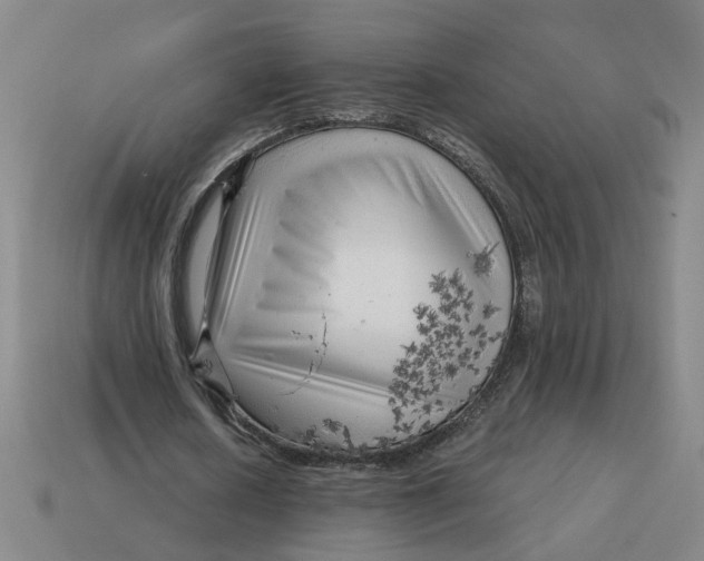 X0000114430626200911061643