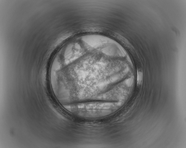 X0000114430627200911061643