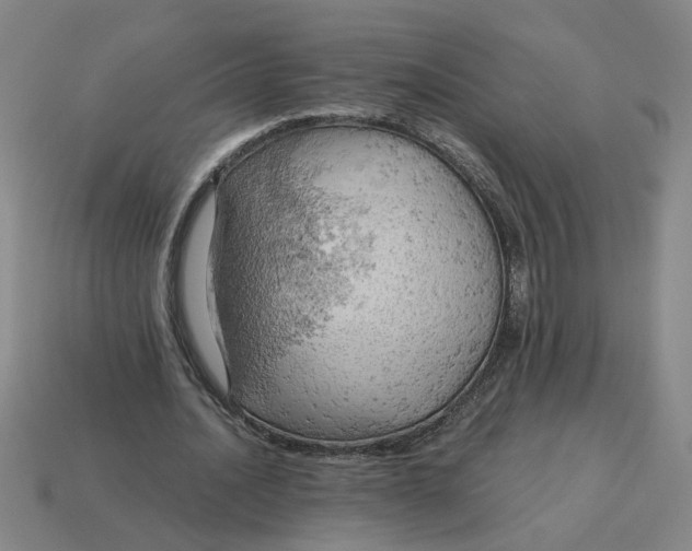 X0000114430628200911061644