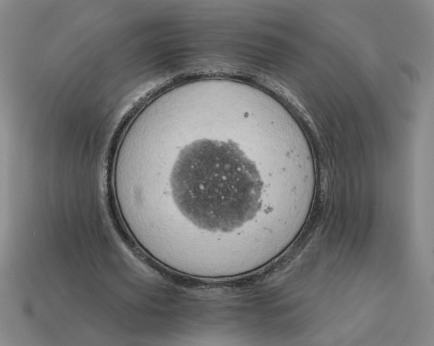 X0000114430629200911061644