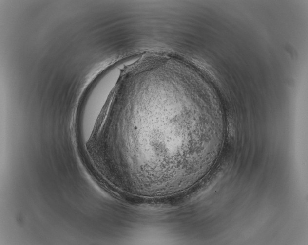 X0000114430630200911061644