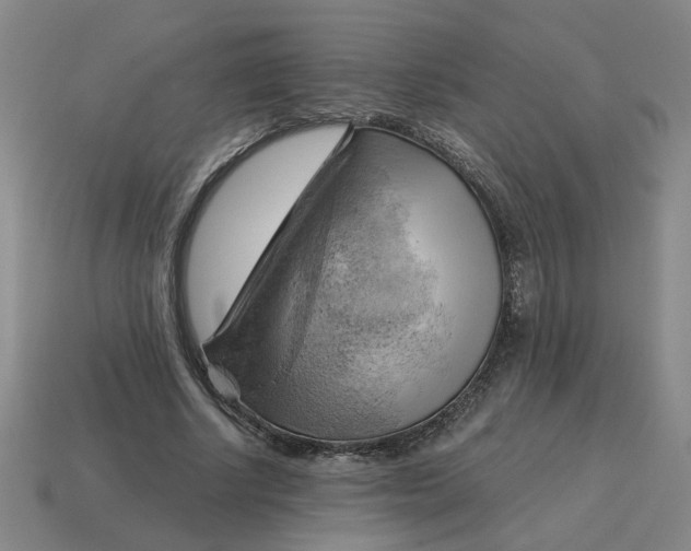 X0000114430634200911061644