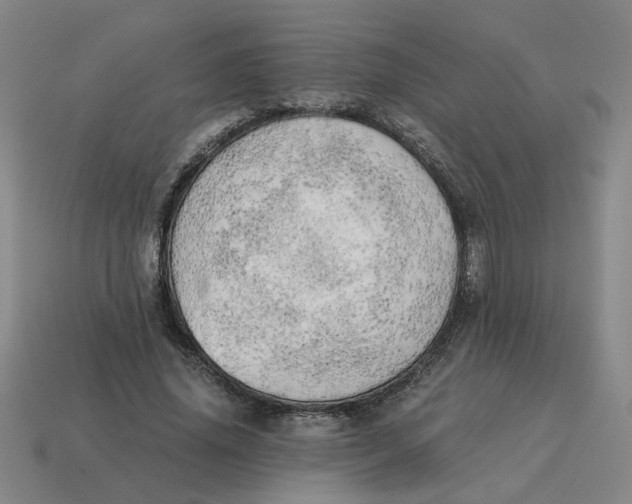 X0000114430636200911061644