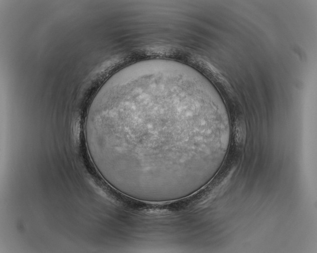 X0000114430637200911061644