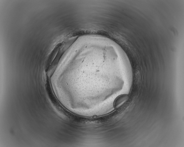 X0000114430638200911061644