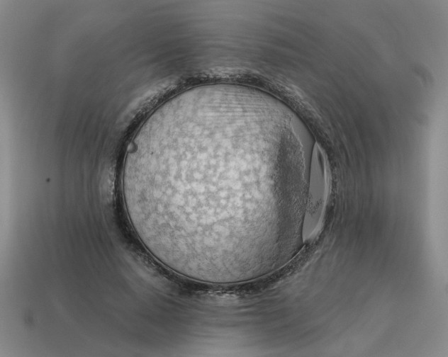 X0000114430640200911061644