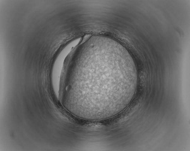 X0000114430642200911061644