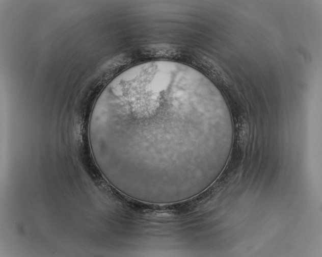 X0000114430643200911061644
