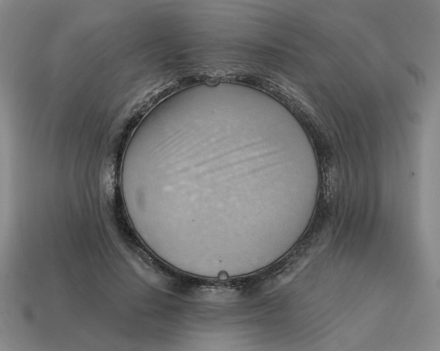 X0000114430644200911061644