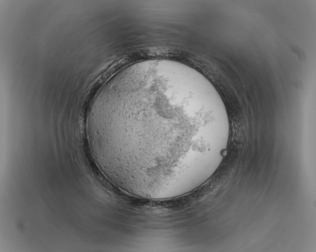 X0000114430648200911061644