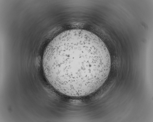 X0000114430649200911061644