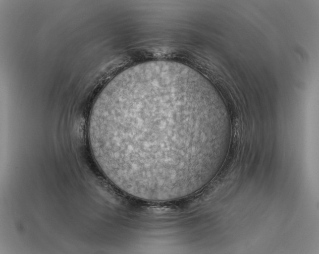 X0000114430650200911061644