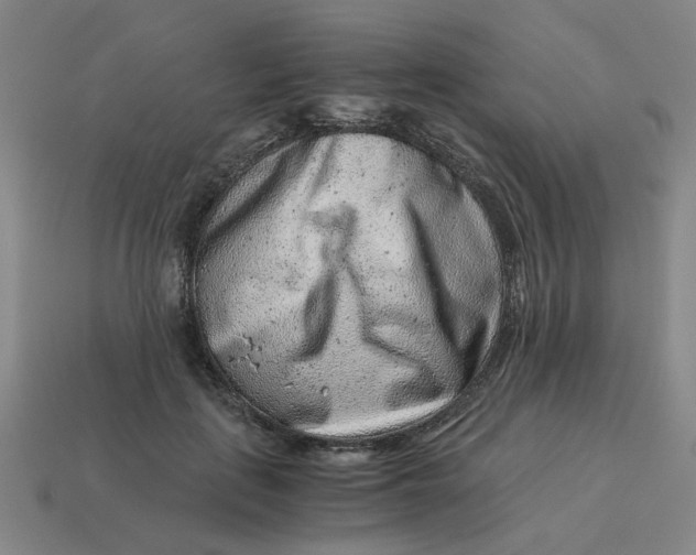X0000114430651200911061644