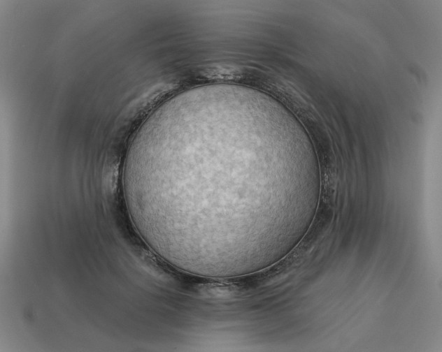 X0000114430652200911061644