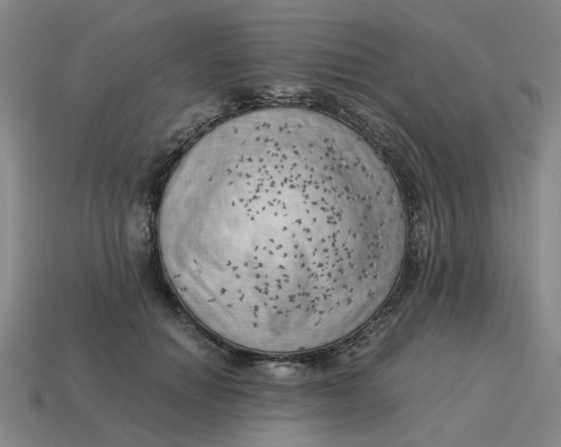 X0000114430654200911061644
