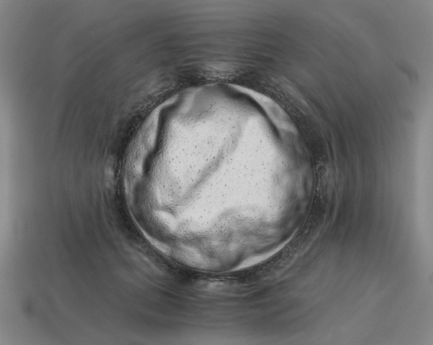 X0000114430655200911061644