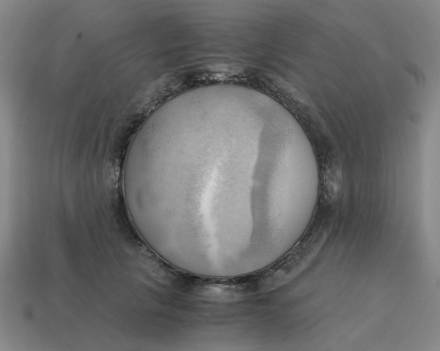 X0000114430657200911061644