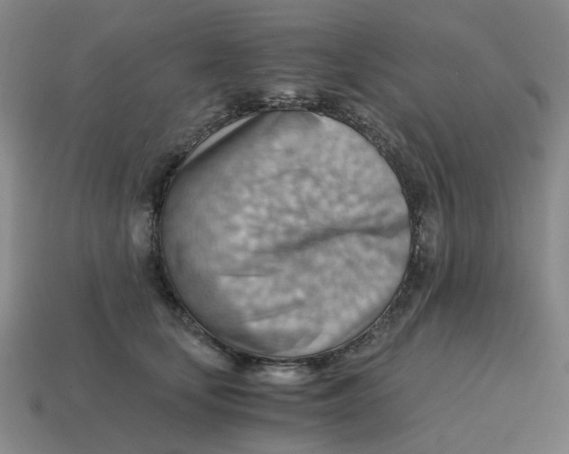 X0000114430659200911061644