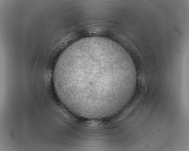 X0000114430660200911061644