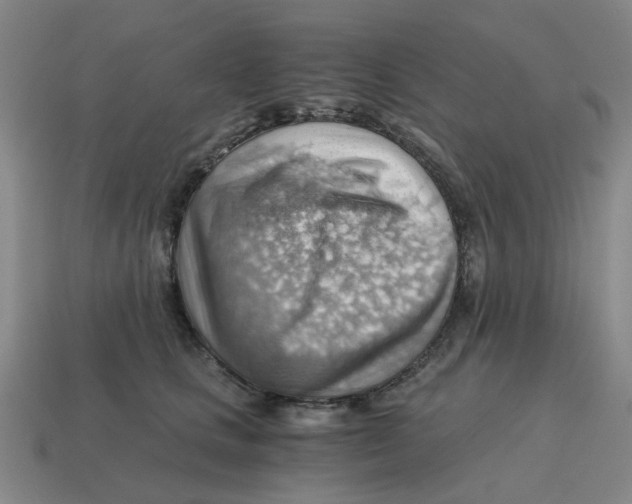 X0000114430661200911061644