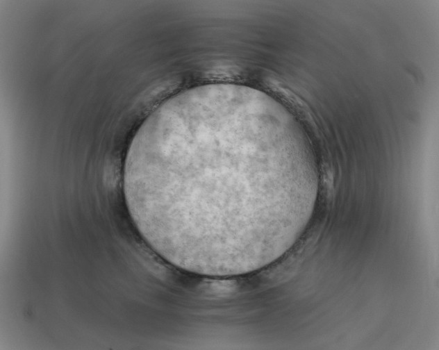 X0000114430665200911061644
