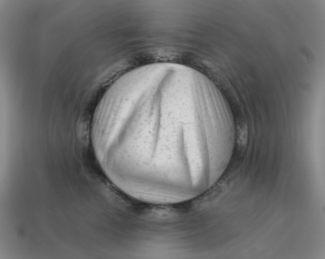 X0000114430666200911061644