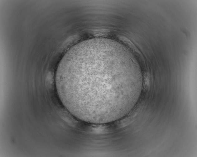 X0000114430667200911061644